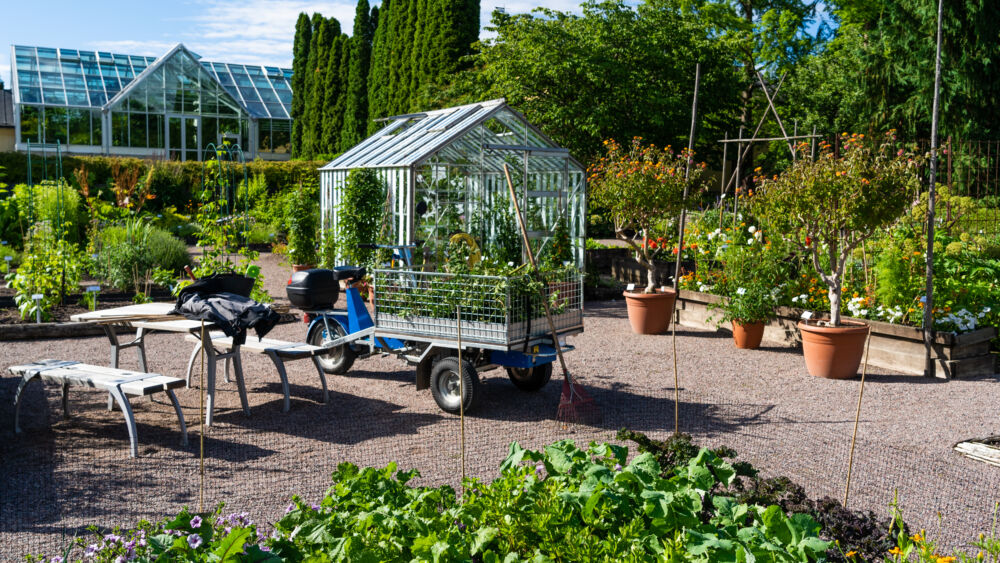 botaniska-trädgården-växthus
