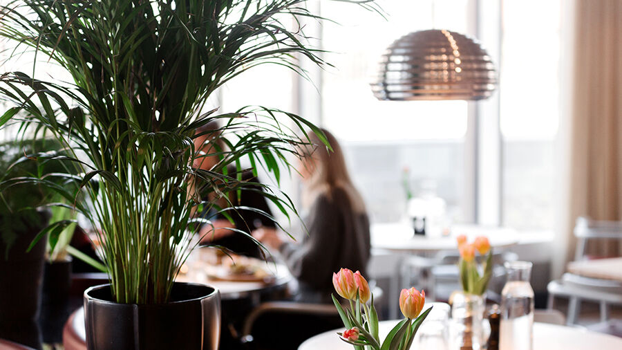 Interiörbild från Restaurang Friggas