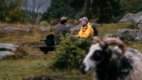 två män sitter vid ett bord i skogen