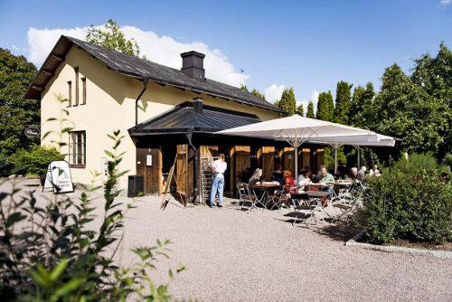 botaniska_trädgården