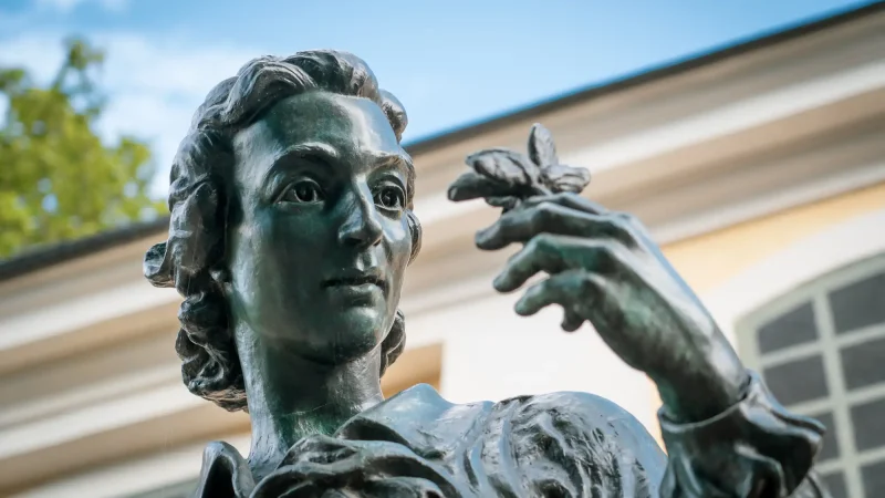 Staty i trädgård