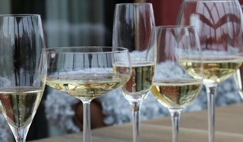 Champagneprovning Kaija