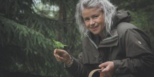 Bild produktbald Elle + SHT