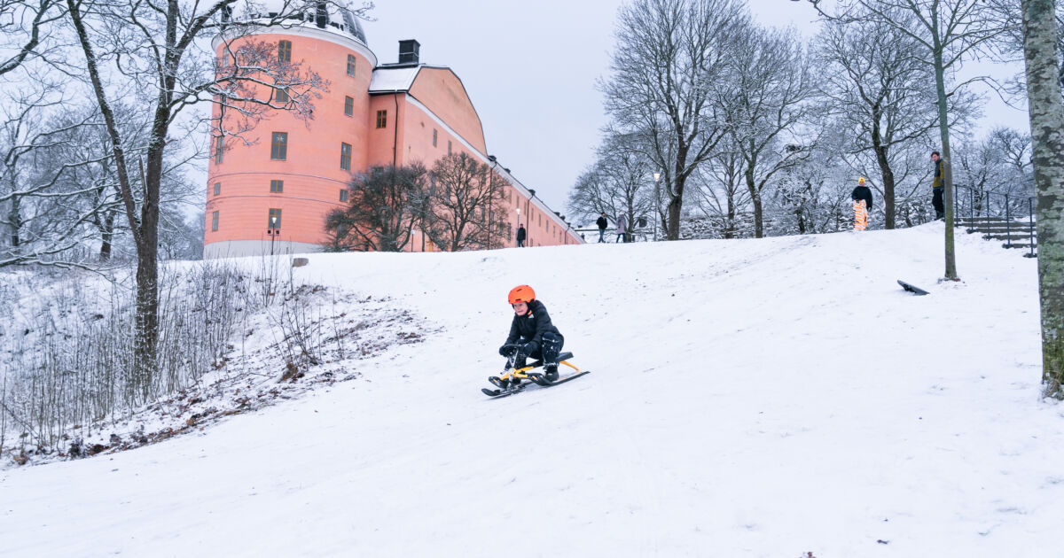 Aktiviteter på vintern i Uppsala med barn Destination Uppsala
