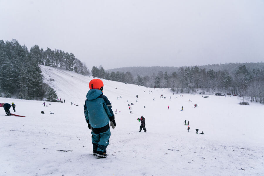 Pulka Sunnerstagropen