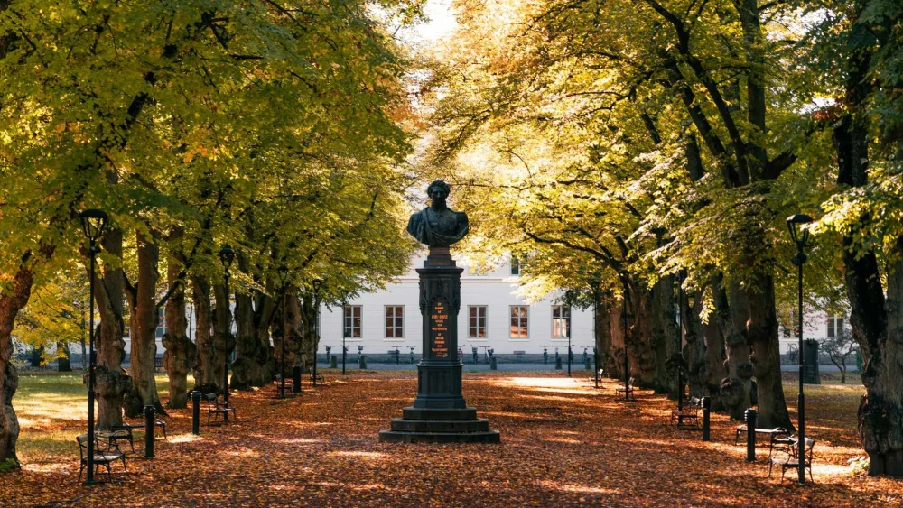 Byst av Folke Bernadotte i en park