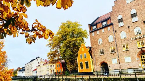 liniztravel