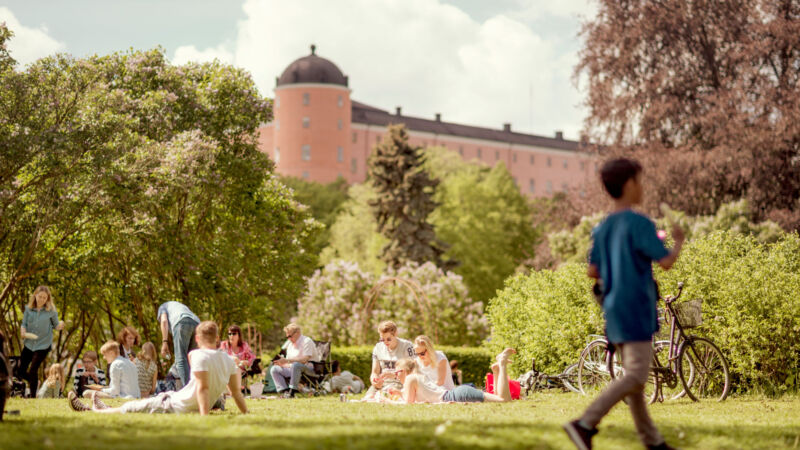 stadsträdgården