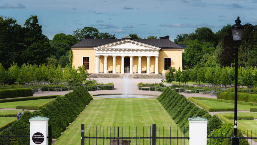 Botaniska trädgården