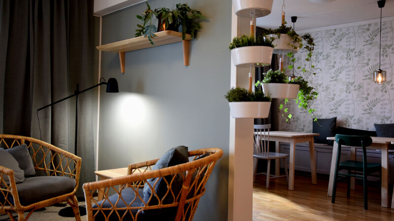 lounge