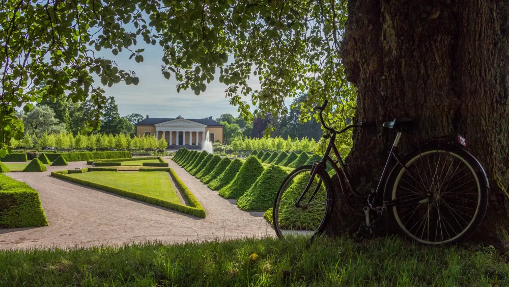 En cykel lutad mot ett träd i Botaniska trädgården i Uppsala