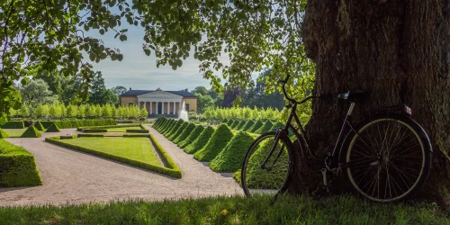 En cykel lutad mot ett träd i Botaniska trädgården i Uppsala