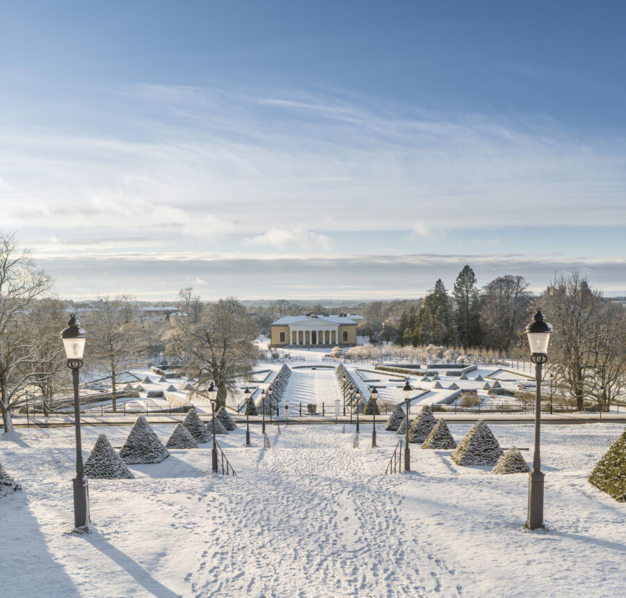 vinter botaniska trädgården