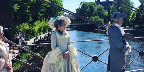 Linnés trädgårdsfest