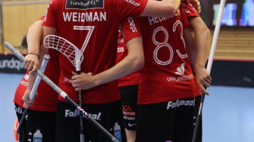 Storvreta IBKs Herrlag i Innebandy