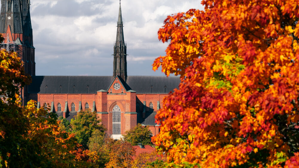 Domkyrkan-21