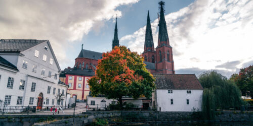 Höst-Domkyrkan