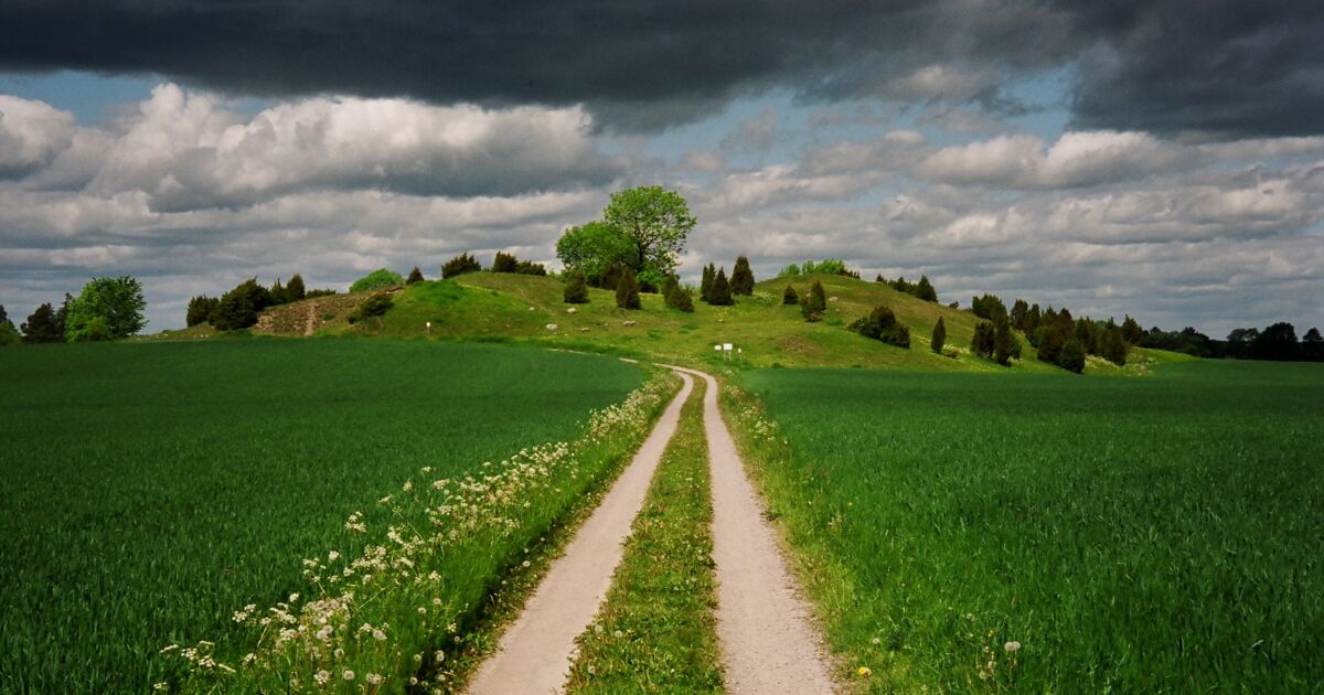 Valsg rde Destination Uppsala