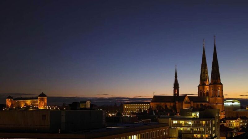 Utsikt över Uppsala, där man ser slottet och domkyrkan.