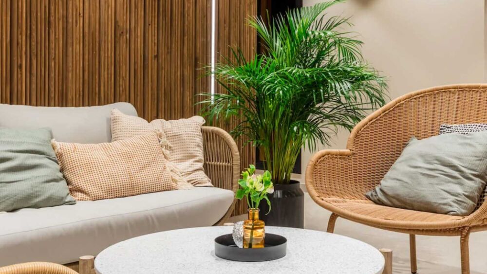 En relaxavdelning med ljusa träslag