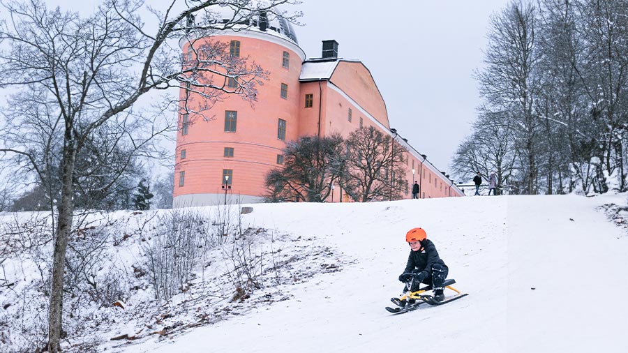 Barn åker pulka vid Uppsala slott