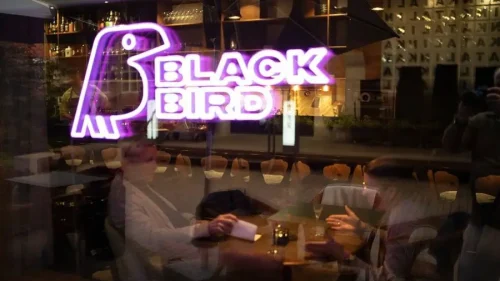 blackbird-destination-uppsala