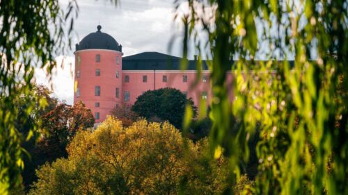 Uppsala slott i solsken