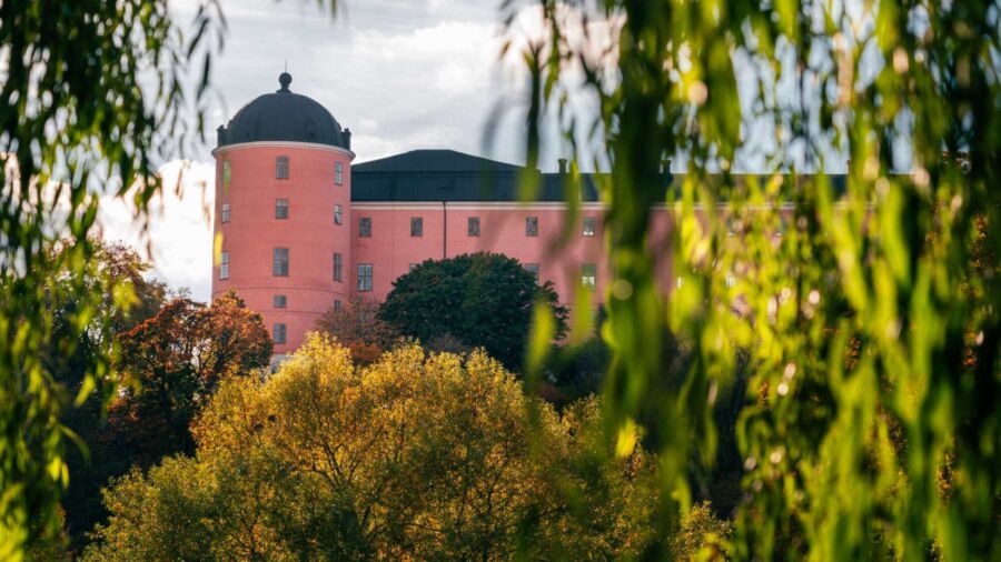 Uppsala slott i solsken