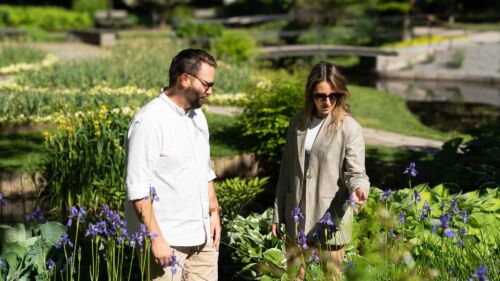 Tvåpersoner beundrar blommorna i Stadsträdgården