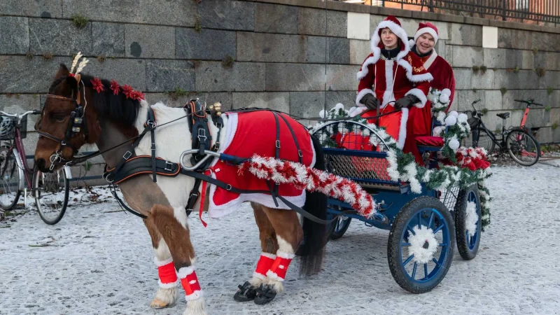 Tomtar med häst och vagn på julmarknad