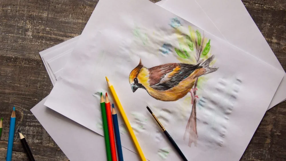 Tecka-fagel-biotopia-oyssel_AdobeStock_253020121