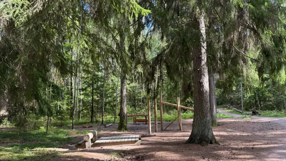 gym i skogen