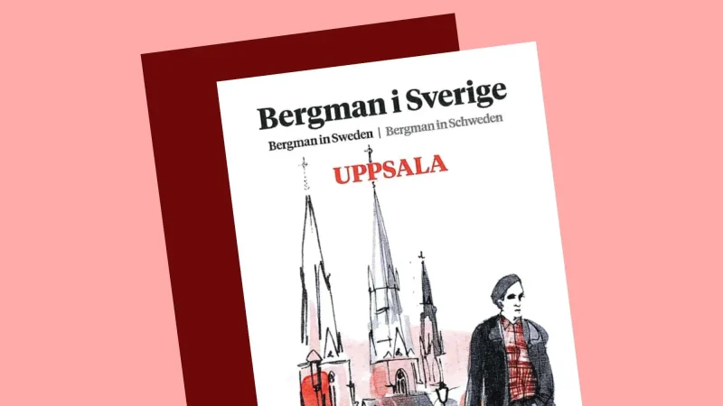 bergmankarta preview