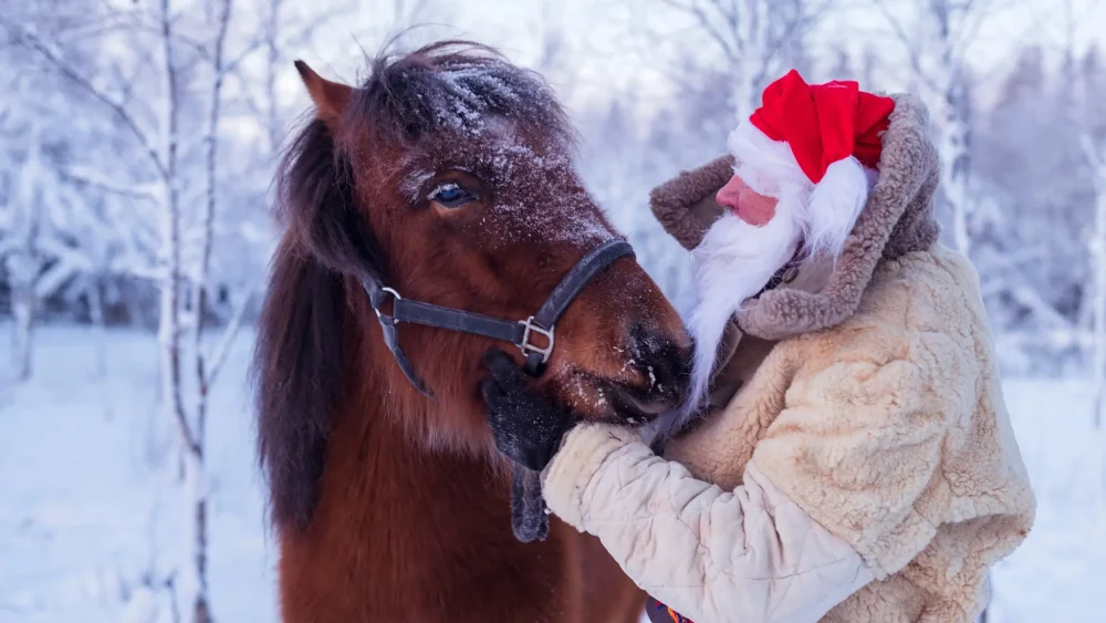 En tomte och en häst i snölandskap