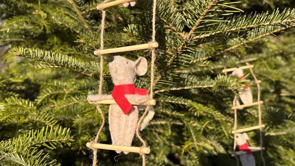 linnetradgarden-mus-ustallning-julen 2025_PRESS