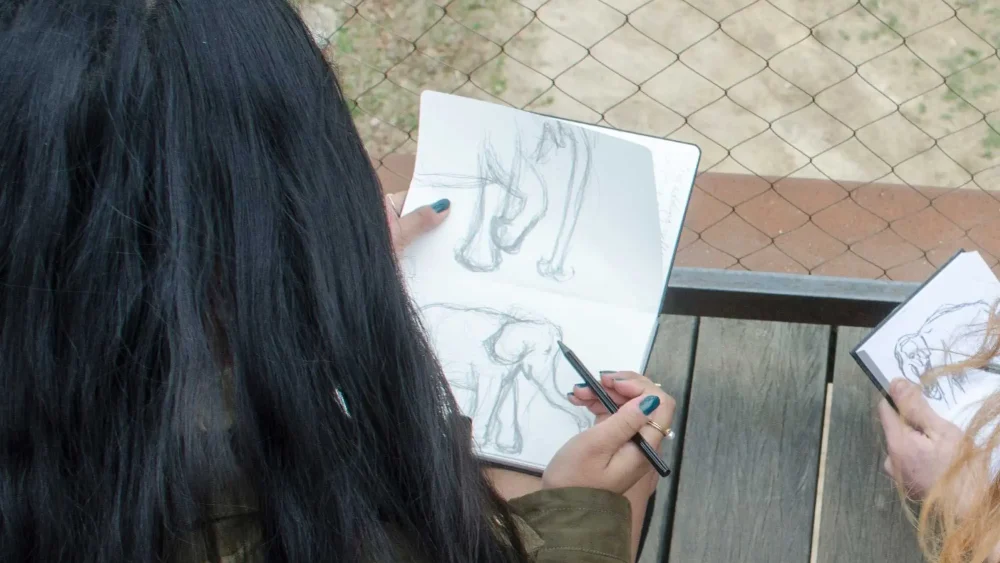 Kvinna som skissar ett djur