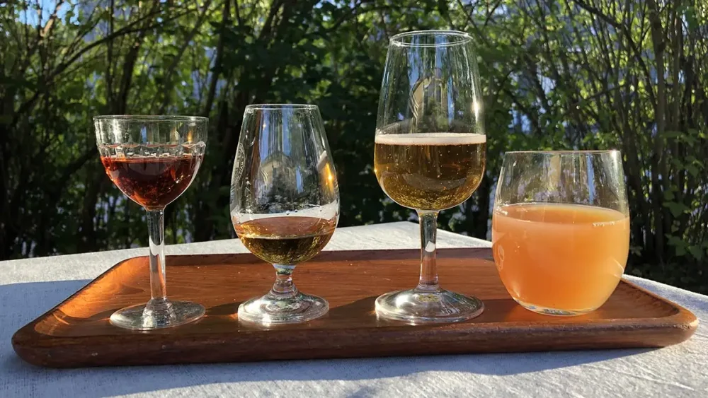 Fyra glas med äppelmust