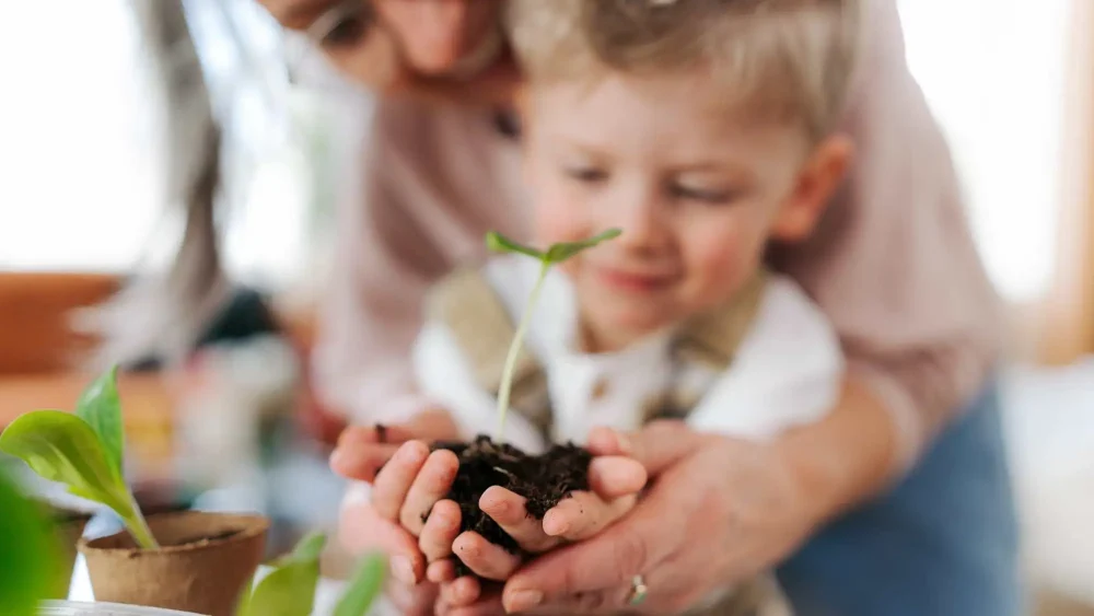 Ett barn planerar en planta