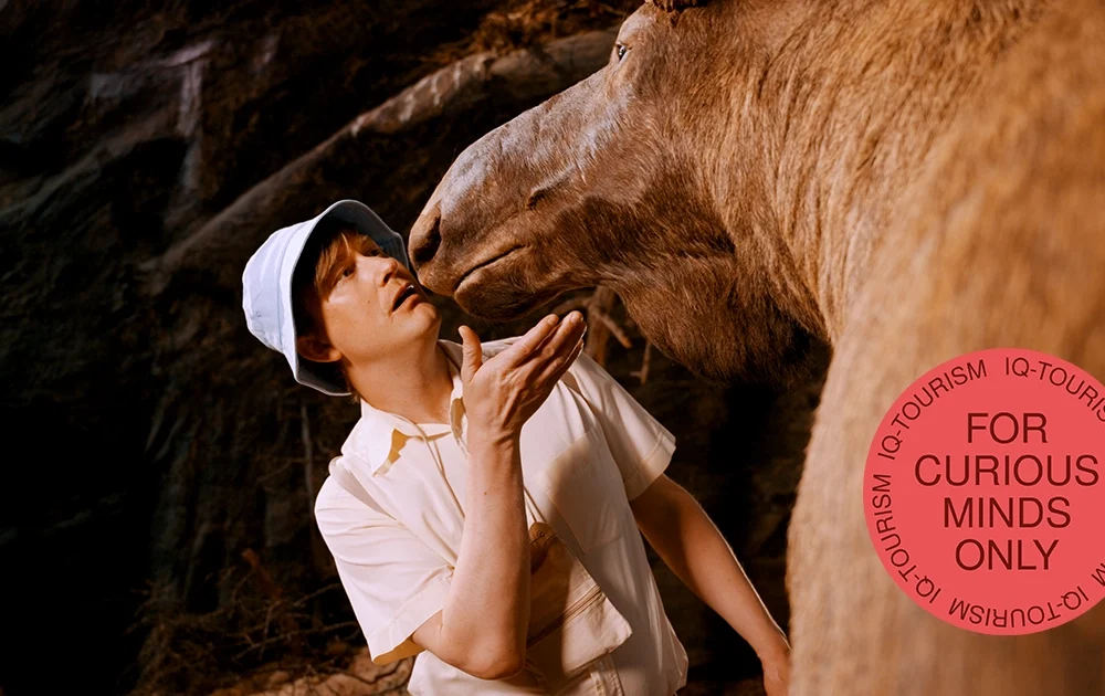 IQ_Delningsbild_1200x630