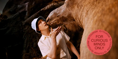 IQ_Delningsbild_1200x630