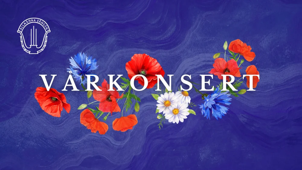 Affisch för en konsert