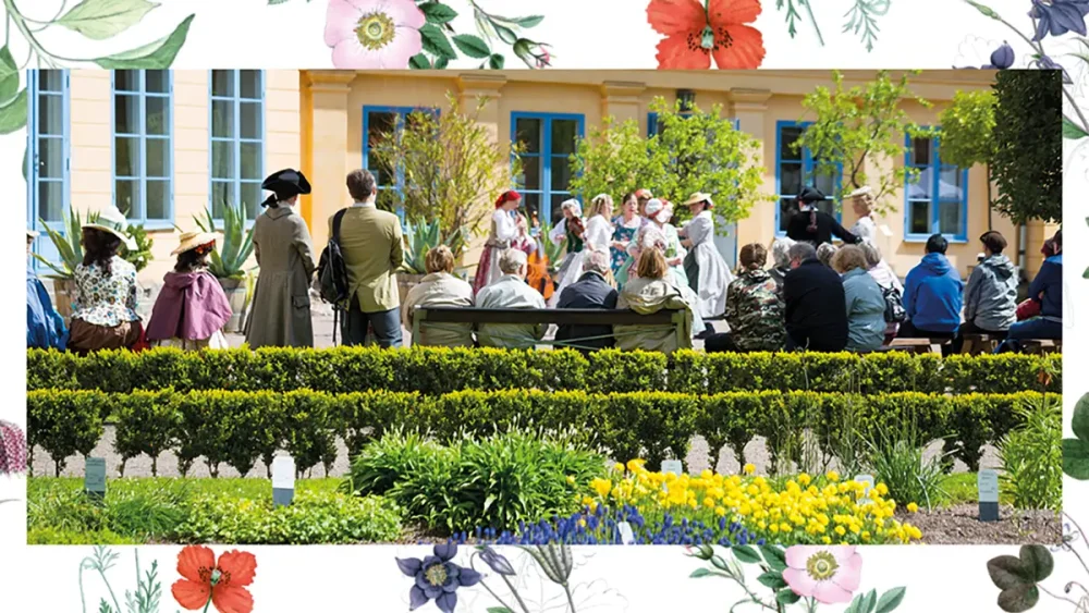 Personer dansar i Linnéträdgården