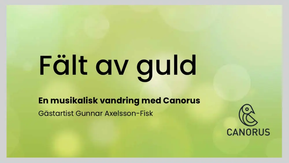 Poster för event