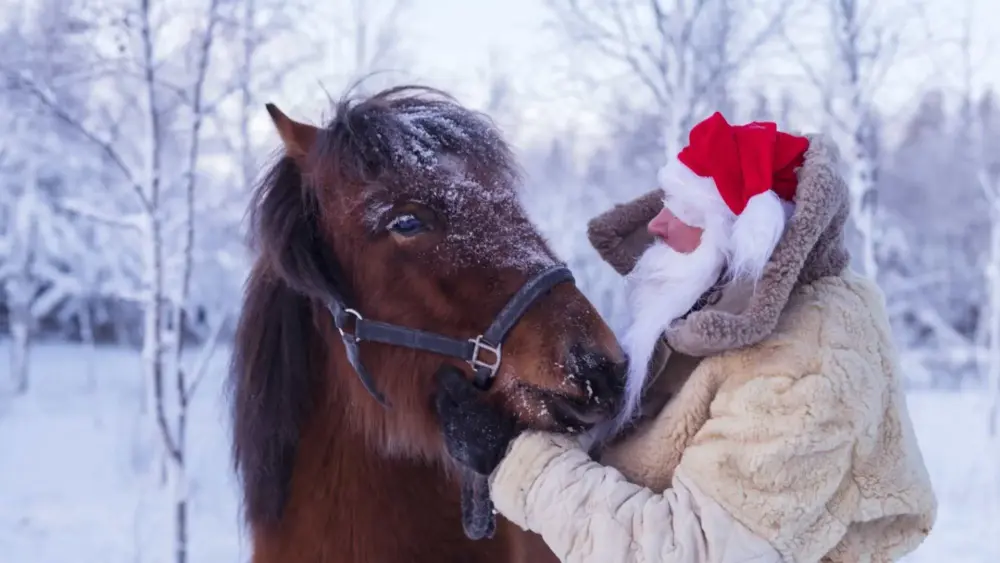 En tomte med en häst i vinterlandskap